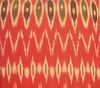 Ikat Red Black Nomads cushion 