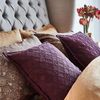 Zantine Deep Plum Cushion 